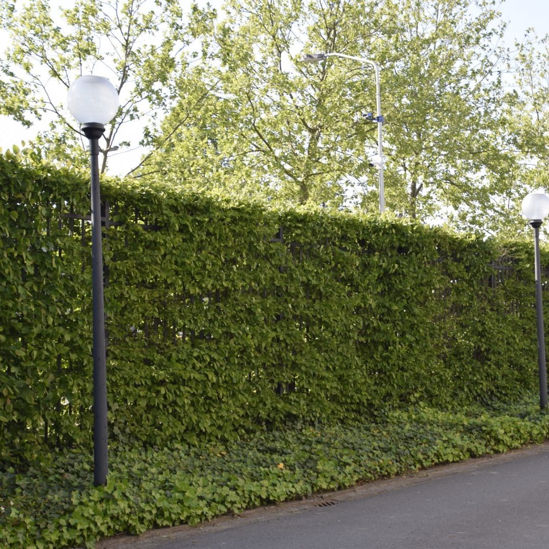 Globeon Led Parkverlichting