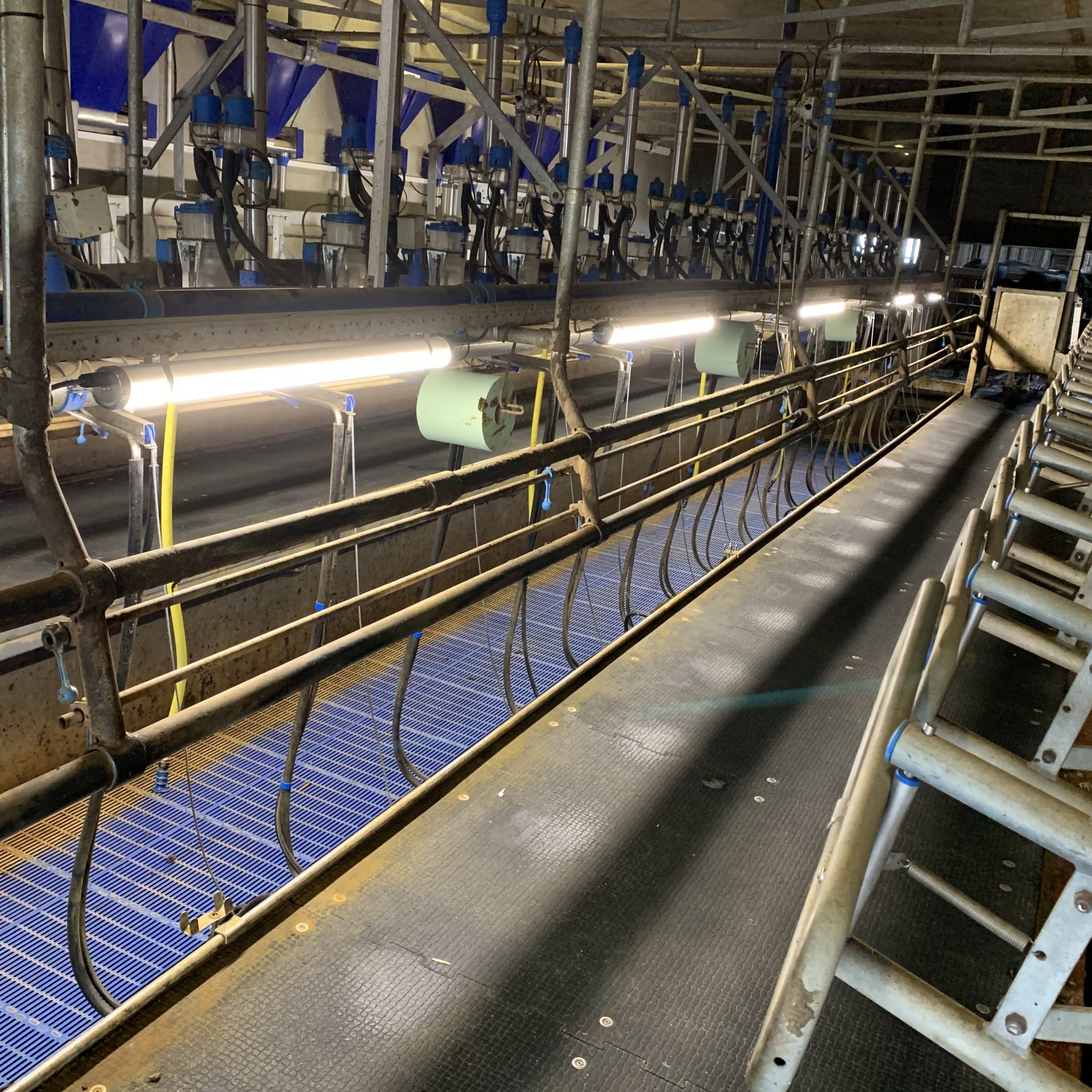 Speciale led armaturen in de melkruimte