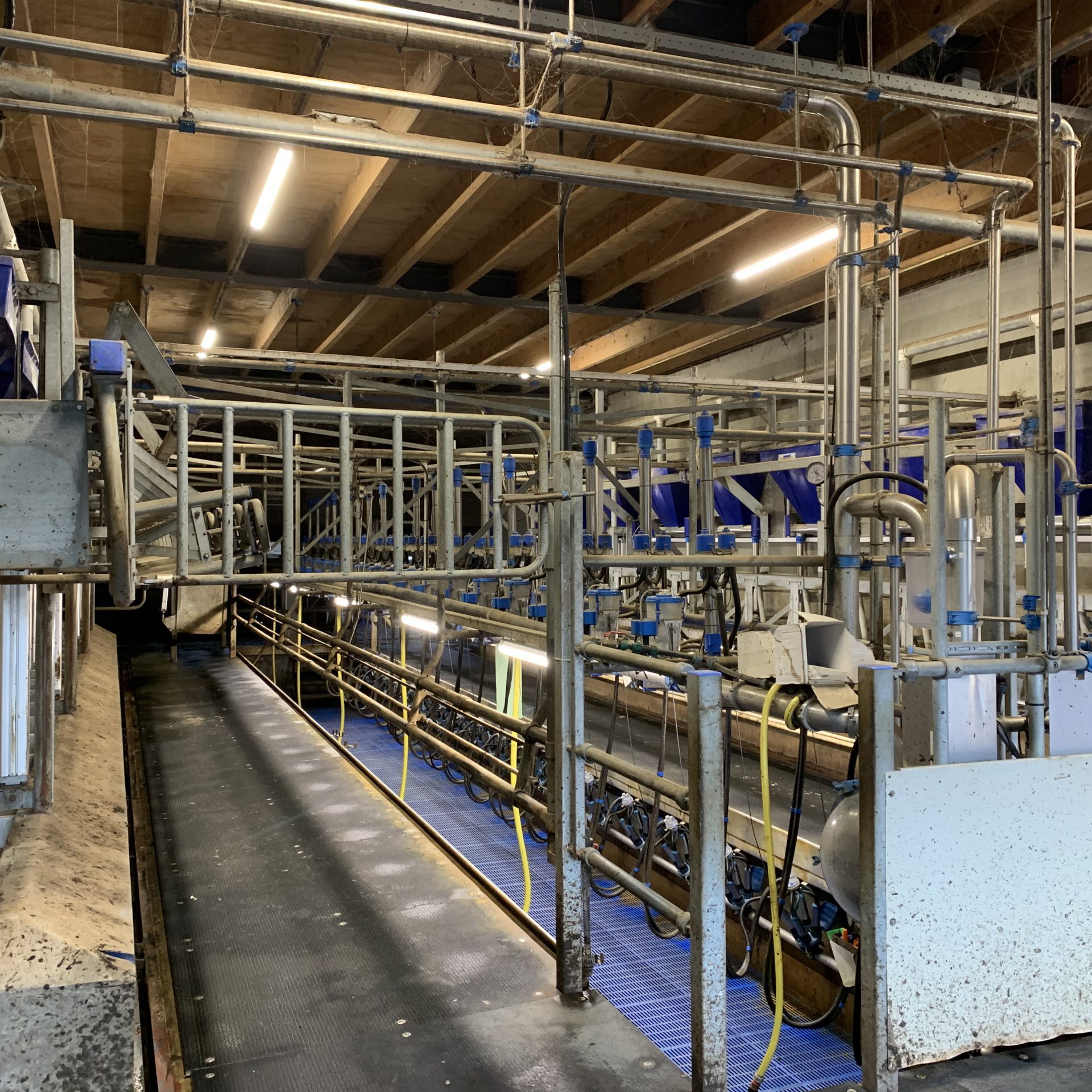 Melkput led verlichting