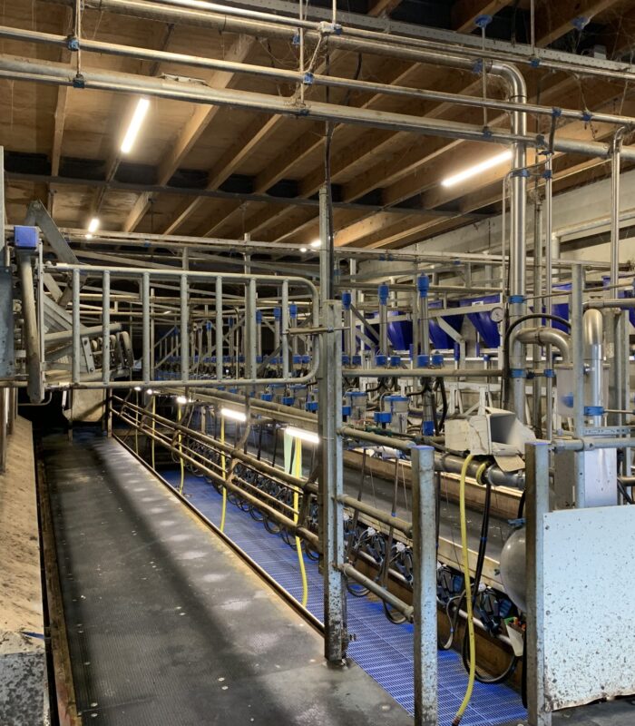 Melkput led verlichting