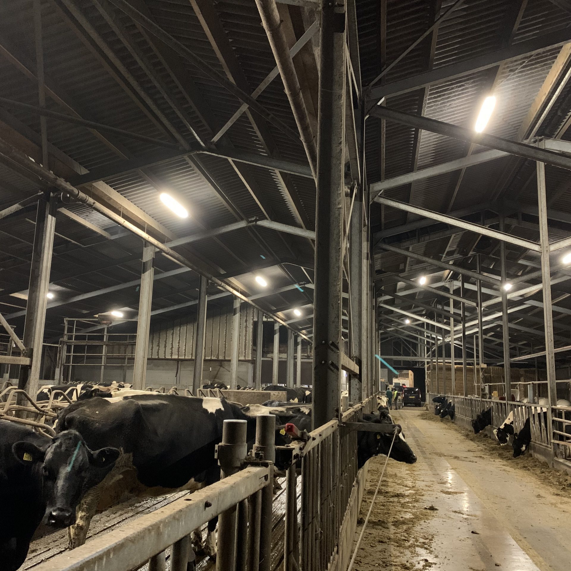 Led verlichting boerderij