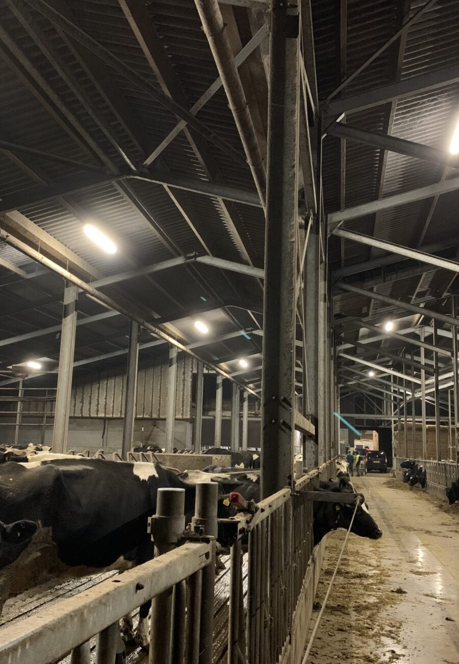 Led verlichting boerderij