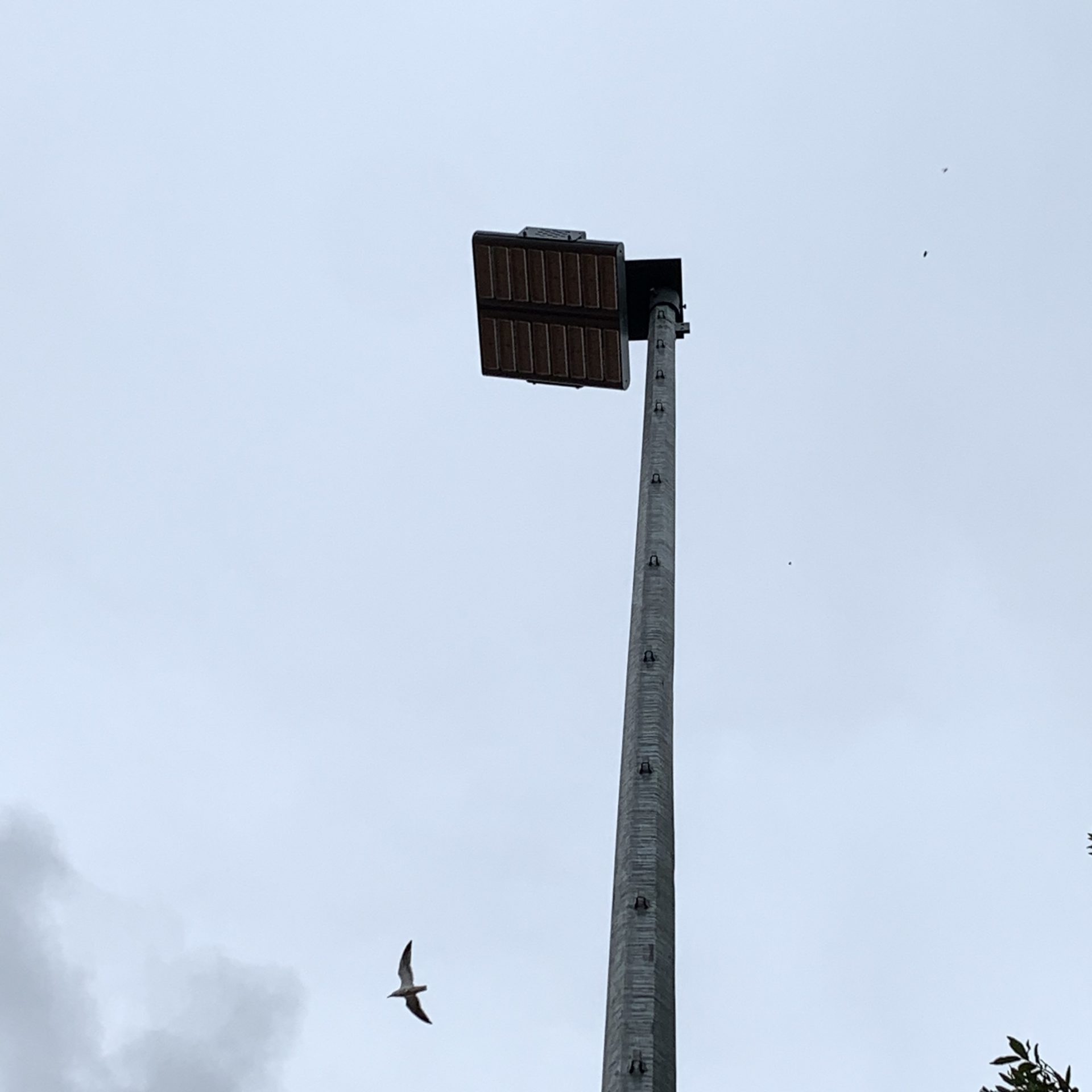 Led verlichting voor sportvelden