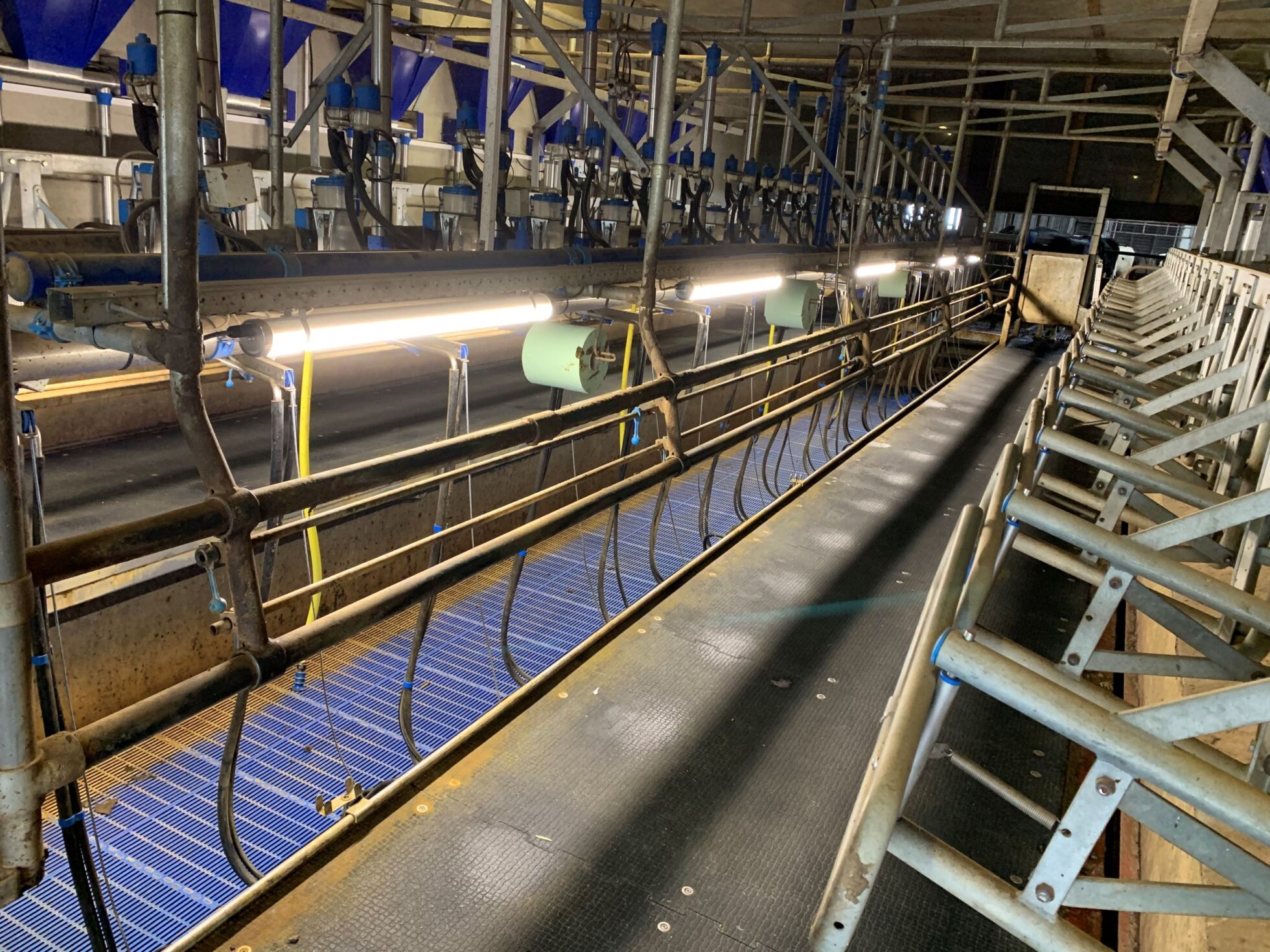 ledverlichting stal melkput boerderij