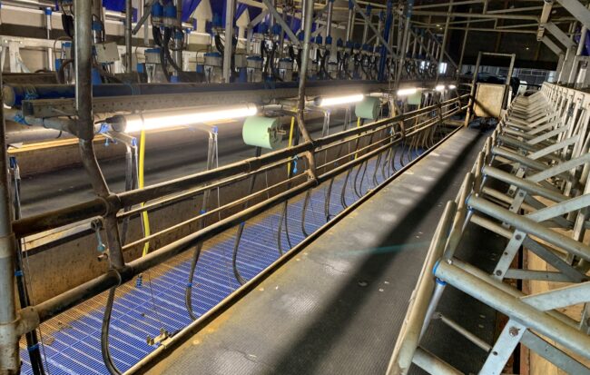 ledverlichting stal melkput boerderij ledverlichting stal melkput boerderij